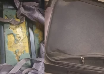 سعودی عرب ہیروئن اسمگلنگ کی کوشش ناکام، مسافر گرفتار