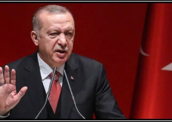 صدر کیخلاف توہین آمیز بیان پر ترک خاتون صحافی کو قید کی سزا