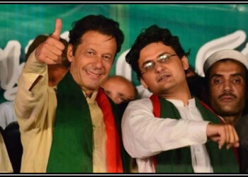 اسلامو فوبیا سے متعلق وزیراعظم کی کاوشیں رنگ لا رہی ہیں: فیصل جاوید