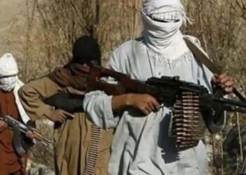کالعدم ٹی ٹی پی کا دہشتگرد کمانڈر رفیع اللہ مارا گیا