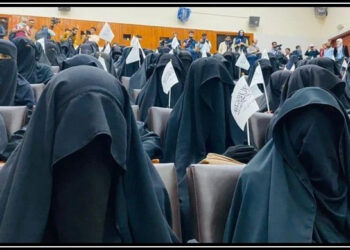 طالبان کے افغانستان میں خواتین کے لیے بڑی خبر