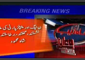 اتحادیوں پر اعتماد ہے اور کوئی گھبراہٹ نہیں: شاہ محمود