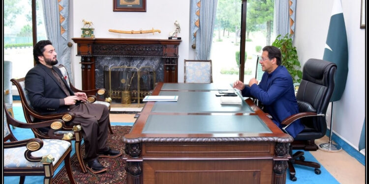 وزیراعظم عمران خان سے چیئرمین کشمیر کمیٹی شہریار آفریدی نے ملاقات کی