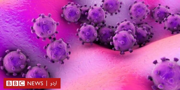 برطانیہ آسٹریلیا اور یورپ کے بعد منکی وائرس نے پاکستان میں خطرے کی گھنٹی بجا دی  ،92 کیس رپورٹ