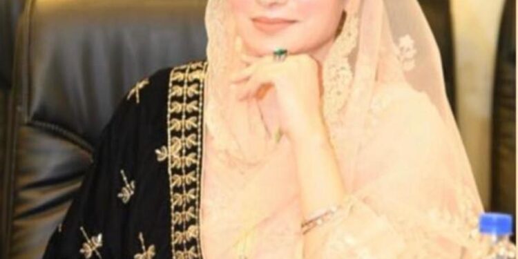 پاکستان کا ایٹمی پروگرام جنوبی ایشیا میں امن کی ضمانت ہے ، فرح عظیم شاہ