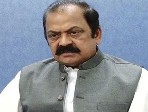 گیارہ جماعتوں نے سیاسی بدروحوں کے علاج کی ڈیوٹی مجھ خاکسار کو دی ہے،وزیر داخلہ رانا ثناء اللّٰہ