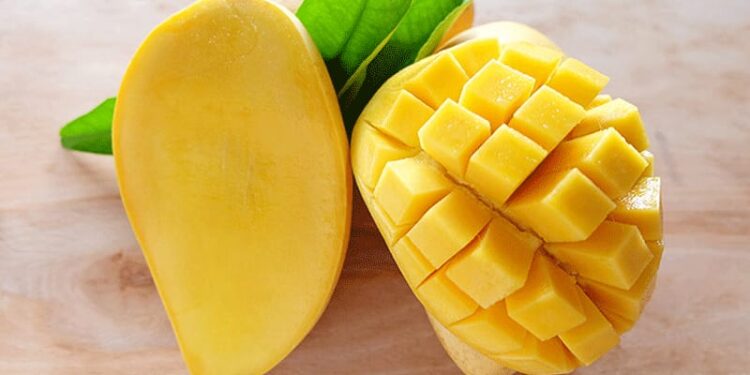 آم کی پیداوارکے لحاظ سے پاکستان دنیا کاساتواں بڑا ملک ہے ، زرعی ماہرین