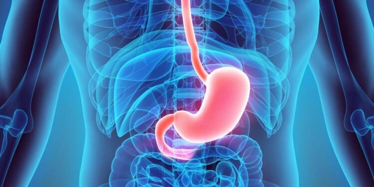 دنیا بھر میں ہاضمہ کی صحت کا عالمی دن منانے کا مقصد ہاضمے کی بیماریوں کے بارے آگاہی پیدا کرنا ہے،  ڈاکٹر داود غلزئی،ڈاکٹر خاور خوستی