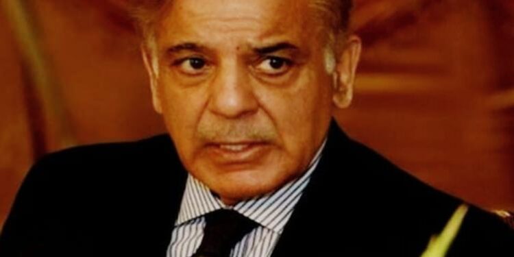 چینی سرمایہ کاروں کو ہر ممکن سہولیات فراہم کریں گے، وزیراعظم شہباز شریف