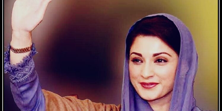 شیر سے پنجاب چھیننے کا خواب چکنا چورہوگا: مریم نواز