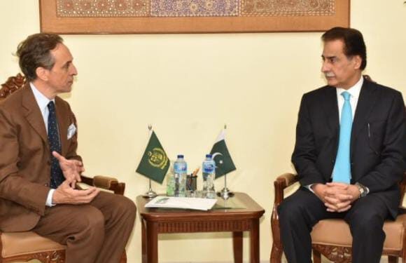 وفاقی وزیر اقتصادی امور ا یاز صادق سے پاکستان میں اقوام متحدہ کے ریزیڈنٹ کوآرڈینیٹر جولین ہارنیس کی ملاقات