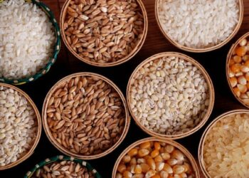 پاکستان میں غذائی بحران۔