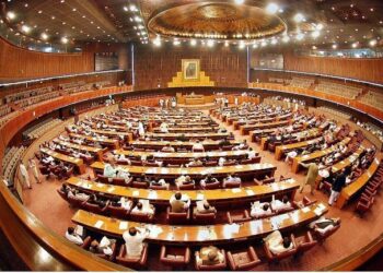 پیٹرولیم مصنوعات پر 50 روپے فی لیٹر لیوی عائد کرنے کی ترمیم منظور