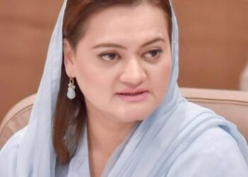 عثمان بزدار کرپشن کا آلہ کار تھا، مریم اورنگزیب