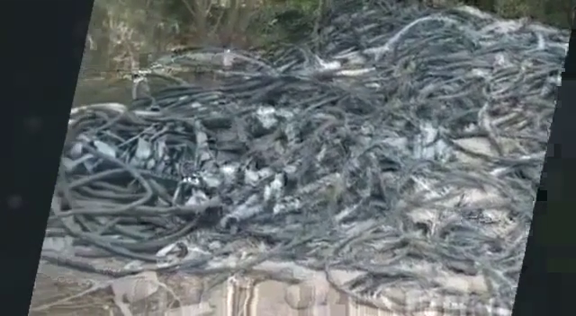 پاکستان اسٹیل ملز سےاربوں کی کرپشن کا اسکینڈل وفاقی تحقیقاتی ادارے کی انکوائری کے باوجود چوری جاری، پولیس سہولت کار نکلی
