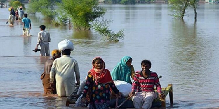 سیلاب متاثرین میں امداد تقسیم ہوئی یا نہیں؟ تحقیقاتی کمیٹی قائم کمیٹی ڈپٹی ڈائریکٹر اینٹی کرپشن جامشورو جاوید احمد پھلیپوٹو کی سربراہی میں بنائی گئی