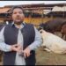 اسٹیٹ بینک سمیت 5 بڑے بینک ڈیری فارمرز کو قرضے دینگے