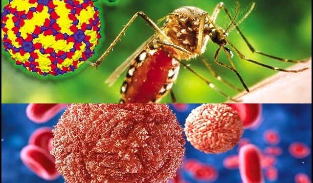 سندھ: ملیریا، ڈینگی سمیت دیگر بیماریوں نے وبائی صورت اختیار کر لی