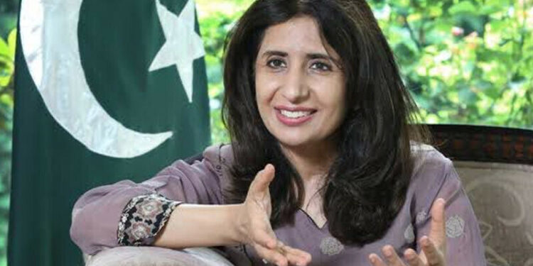 بھارت دہشتگردی ترک اور بات چیت کیلیے سازگار ماحول پیدا کرے، پاکستان