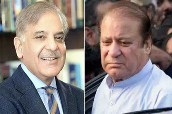 نواز شریف اور شہبازشریف کے دورمیان ٹیلی فونک رابطہ پنجاب کی سیاسی صورتحال پر تبادلہ خیال