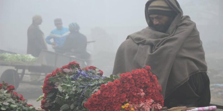 ملک بھر میں شدید سردی کی لہر، کراچی میں درجہ حرارت 6.5 سینٹی گریڈ ریکارڈ۔کلفٹن میں 13 ڈگری سینٹی گریڈ ریکارڈ ، جمعہ سے 16 جنوری کے دوران شہر میں کولڈ ویو کی شدت زائد رہے گی، محکمہ موسمیات