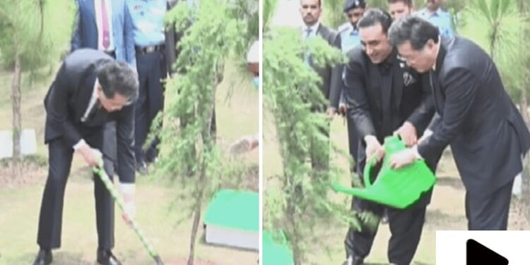 چینی وزیر خارجہ نے دفتر خارجہ میں پودا لگا دیا