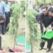 چینی وزیر خارجہ نے دفتر خارجہ میں پودا لگا دیا