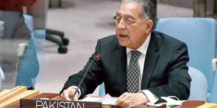 سلامتی کونسل کی قراردادوں پر عملدرآمد نہ کرنے سے عالمی ادارے کے نظام پر اعتماد ختم ہو چکا ہے : پاکستان