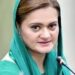 بیرون ملک چیئرمین تحریک انصاف کے پراکسیز موجود ہیں، مریم اورنگزیب
