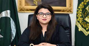 یانگو پاکستان میں کام کرنے والی نئی کمپنیوں کے لیے دروازے کھولے گا،شیزہ فاطمہ