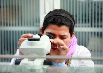 پاکستان میں اناج کی پیداوار بڑھانے کیلئے چینی زرعی ٹیکنالوجی کا استعمال