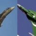 تاریخ میں پہلی بار پاک بھارت فضائی افواج ایک ساتھ عالمی جنگی مشق میں شریک