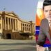 اینکر مرید عباس قتل کیس میں اہم پیش رفت:اہم گواہ عمر ریحان کا بیان ویڈیو لنک کے ذریعے ریکارڈ کرنے کی درخواست منظور کرلی ۔