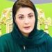 نواز شریف کا ایجنڈا معیشت کی بحالی اورعوام کو مہنگائی سے چھٹکارا دلوانا ہے۔ مریم نواز