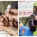لاہور میں پولیو سے بچاو کی قومی مہم ، سکیورٹی الرٹ