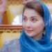 وزیراعلیٰ پنجاب مریم نواز نے 8 لاکھ اسلحہ لائسنس معطل کر دئیے .