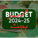 وفاقی بجٹ بہترین اور عوام دوست ہے،چین کے گڈول ایمبیسڈر