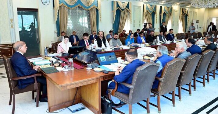 وزیراعظم شہباز شریف کی زیر صدارت قومی اقتصادی کونسل کا اجلاس، معیشت کی شرح نمو کے اہداف ، میکرو اکنامک فریم ورک برائے سالانہ منصوبہ بندی 25۔2024 اور 13ویں پانچ سالہ ترقیاتی منصوبے کی منظوری