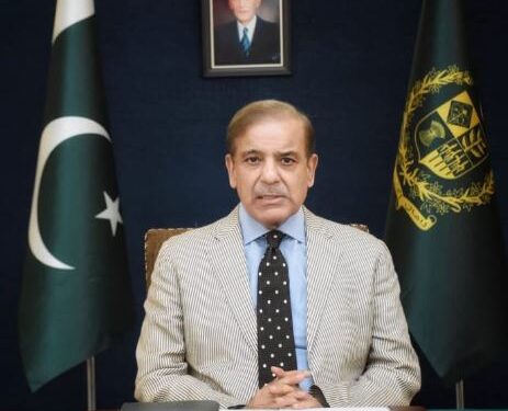 عالمی برادری اسرائیل کے جنگی جرائم کا محاسبہ کرکے اسے انصاف کے کٹہرے میں لائے، وزیراعظم شہباز شریف