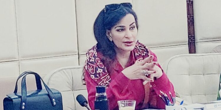 ماحولیاتی تبدیلی کے تمام متعلقہ اداروں کو باہمی روابط اور مشترکہ حکمت عملی سے چیلنجز سے نمٹنا ہوگا،سینیٹر شیری رحمان