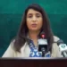 افغانستان دہشت گرد گروپوں کے خلاف کارروائی کرے، پاکستانی عوام کے صبر کا امتحان نہ لیا جائے، ترجمان دفتر خارجہ