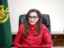 حکومتی ملکیتی اداروں میں 6 ٹریلین کے خسارے کی جوابدہی ہونی چاہئے، سینیٹر شیری رحمن
