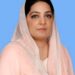 دو طرفہ تجارت کو فروغ دینے کے لئے بادینی بارڈر کو دوبارہ کھولا جائے ، چیئرپرسن انوشہ رحمان