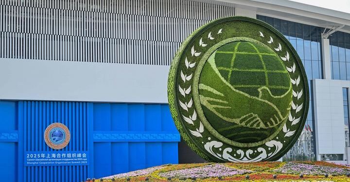 عالمی نظم ونسق اقدام غیر یقینی دنیا میں استحکام پیدا کر رہا ہے، پاکستانی ماہر