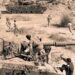جنگ ستمبر 1965 کا 21 واں روز، سیالکوٹ کے محاذ پر فیصلہ کن فتح، دشمن کے ٹینکوں کا صفایا
