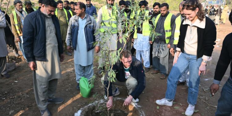“اسلام آباد میں پولن الرجی اور ماحولیاتی بحالی کیلئے حکومت کی جامع مہم”