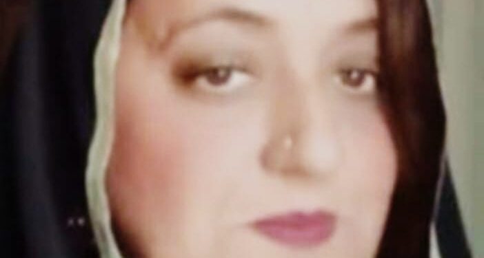 برین ڈرین اور برین گین، پاکستان میں تناسب فرق اور قومی مستقبل