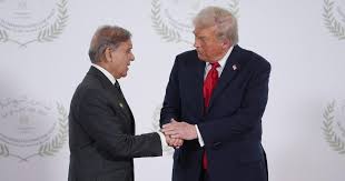 آٹھ اسلامی ممالک کے وزرائے خارجہ کا امریکی صدر کی جانب سے بورڈ آف پیس میں شمولیت کی دعوت کا خیرمقدم