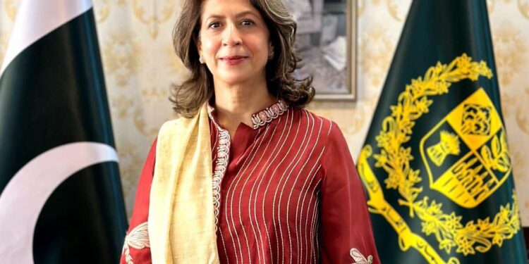 صدر مملکت آصف زرداری نے چیئرپرسن پیمرا کیلئے عنبرین جان کی تقرری کی منظوری دے دی