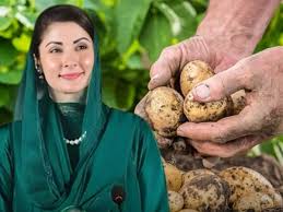 آلو کے کاشتکاروں کیلئے خوشخبری!  آلو کے کاشتکاروں کیلئے وزیراعلی مریم نواز شریف نے وزیراعظم محمد شہباز شریف کو خط لکھ دیا